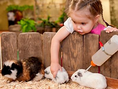 Контактный зоопарк «Зверушкина Деревушка» Контактный зоопарк «Зверушкина Деревушка»